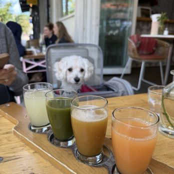 The Butchers Daughter - #4 GREEN JUICE 16 Oz #8 HONEY BEE JUICE 16 Oz #10 PURE PASSION JUICE 16 Oz "Yellow" Juice - Juice Bars & Smoothies Near Me - Brooklyn, New York The Butchers Daughter - #4 GREEN JUICE 16 Oz #8 HONEY BEE JUICE 16 Oz #10 PURE PASSION JUICE 16 Oz "Yellow" Juice - Juice Bars & Smoothies Near Me - Brooklyn, New York