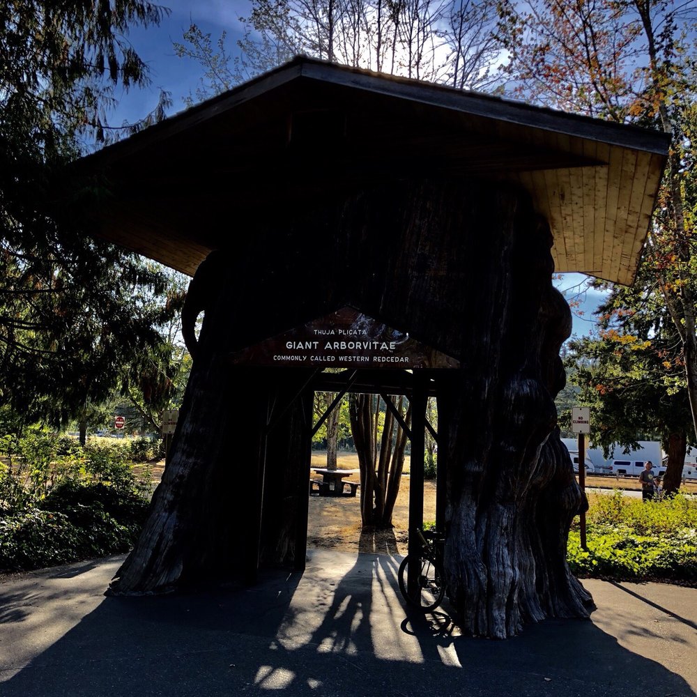 Smokey Point Rest Area - Rest Stops Near Me - Arlington, Washington Smokey Point Rest Area - Rest Stops Near Me - Arlington, Washington