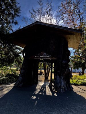 SMOKEY POINT REST AREA - 28 Photos & 15 Reviews - I-5 N, Arlington