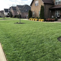 a house with a lawn in front of it