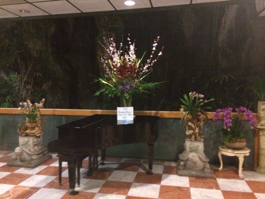 Beverly Hot Springs by null