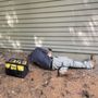 Photo of proof. Pest Control