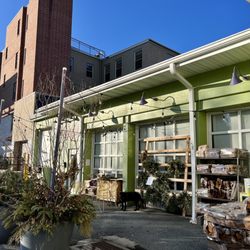 Lemon Street Market