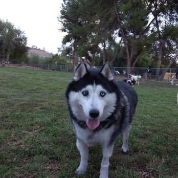 Poway Dog Park - Dog Parks Near Me - Poway, California