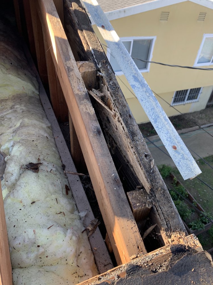 Slide of Rolando Chitiquez