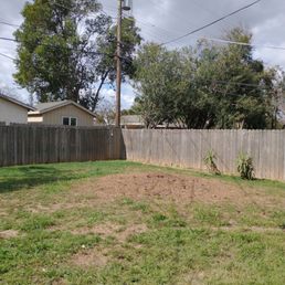 Completely cleaned up, no more hazardous tree. Completely cleaned up, no more hazardous tree.