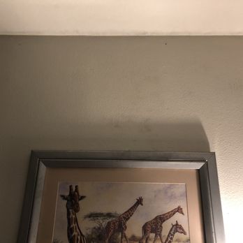 Best Western Plus Bradenton Gateway Hotel - Mold on the walls. - Hotels Near Me - Bradenton, Florida Best Western Plus Bradenton Gateway Hotel - Mold on the walls. - Hotels Near Me - Bradenton, Florida