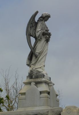 Metairie Cemetery by null