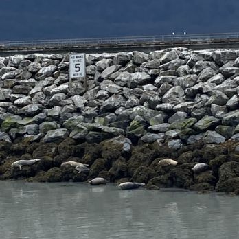 Major Marine Tours - Boating Near Me - Seward, Alaska