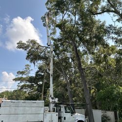 Dave's Professional Tree Services