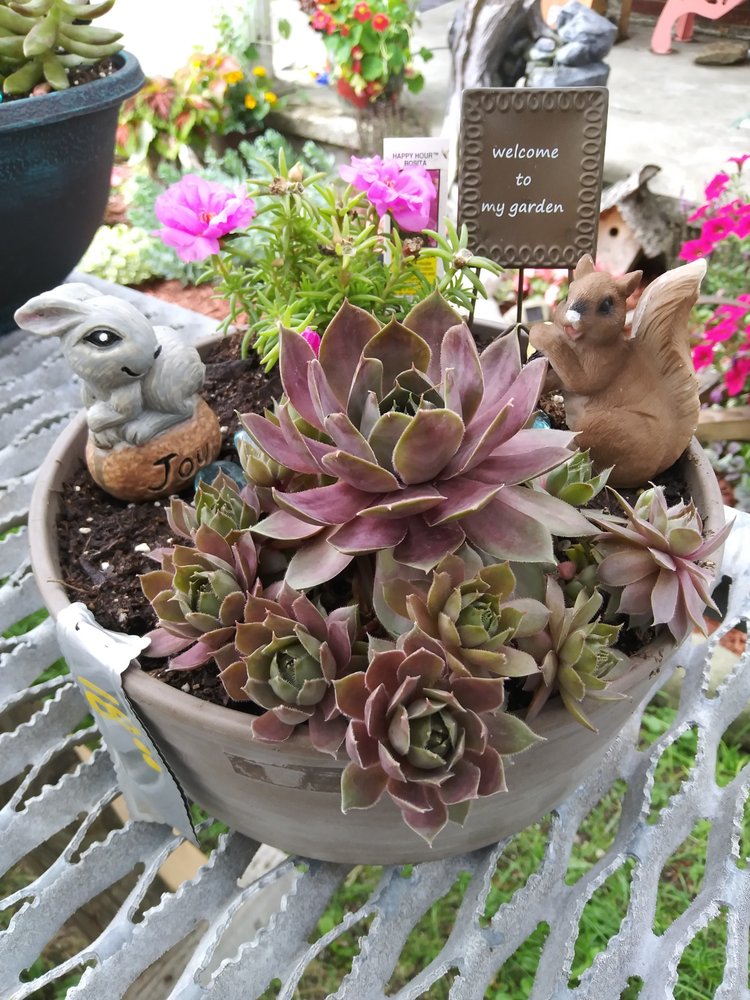 FLOWERS BY SHELLI Updated June 2024 863 Cairns Rd, Mansfield, Ohio