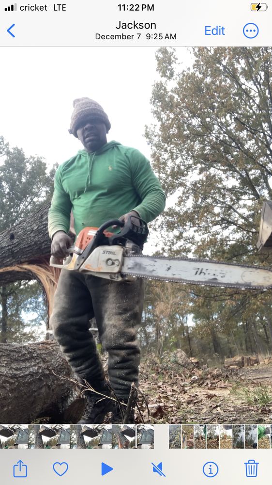 Elite Construction and Tree Removal - tree service in Gulfport, MS