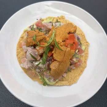 Holbox - Kanpachi & Uni Tostada - Latin American Near Me - Los Angeles, California Holbox - Kanpachi & Uni Tostada - Latin American Near Me - Los Angeles, California