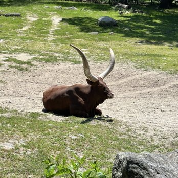 Southwick's Zoo - Amusement Parks Near Me - Mendon, Massachusetts