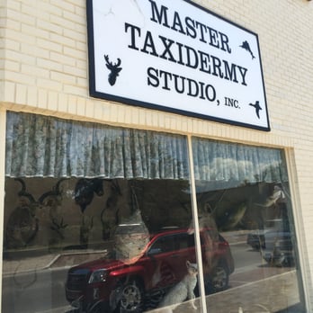 Master Taxidermy Studio - It was closed when we stopped by but saw lots of furry friends in the window. - Taxidermy Near Me - Tavares, Florida Master Taxidermy Studio - It was closed when we stopped by but saw lots of furry friends in the window. - Taxidermy Near Me - Tavares, Florida