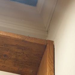Landwirtschaft Staudham - Schimmel an der decke
