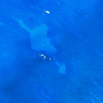 Wings Over Kauai - Tours Near Me - Lihue, Hawaii