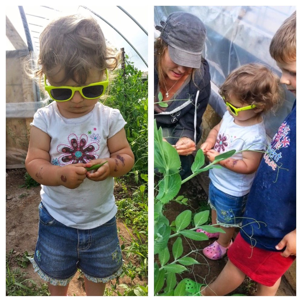 Food from Bakers' Acres