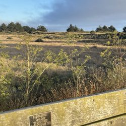 Shorttail Gulch Trail Bodega Bay