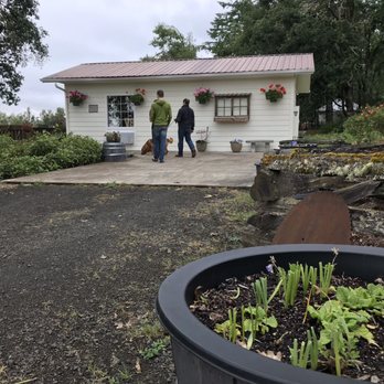 Bradley Vineyards - Tasting room - Wineries Near Me - Elkton, Oregon Bradley Vineyards - Tasting room - Wineries Near Me - Elkton, Oregon