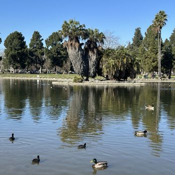 El Dorado Regional Park West - Newly renovated duck pond - Parks Near Me - Long Beach, California El Dorado Regional Park West - Newly renovated duck pond - Parks Near Me - Long Beach, California