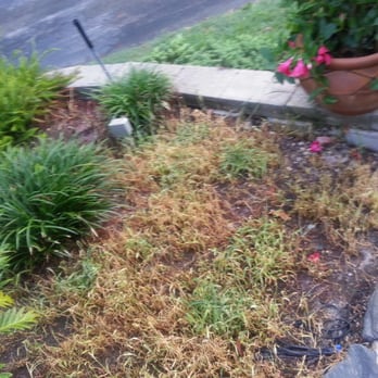Rick Roberts Lawn Service - a view of a flower bed - Landscaping Near Me - Lehigh Acres, Florida