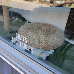 Café Chato - Front window