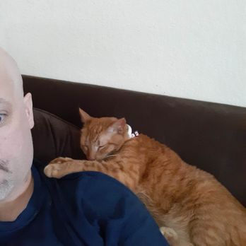 Pawmetto Lifeline - Kitty with Boo Babe, her most favorite person. - Animal Shelters Near Me - Columbia, South Carolina Pawmetto Lifeline - Kitty with Boo Babe, her most favorite person. - Animal Shelters Near Me - Columbia, South Carolina