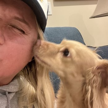 Neighborly Love - Pet Sitting Near Me Neighborly Love - Pet Sitting Near Me