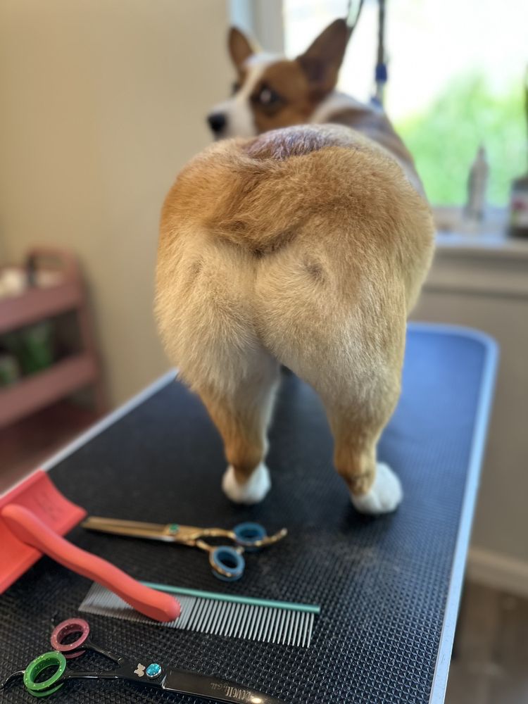 MARIA’S SPAW Updated October 2024 20 Photos 1285 19th Ave, Forest