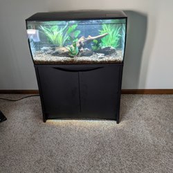 Aquarium Adventure Columbus