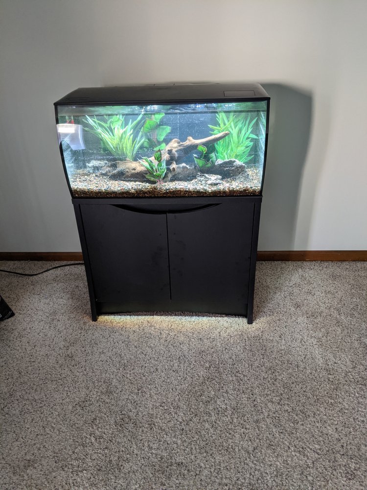 Aquarium Adventure Columbus - koi in Hilliard, OH