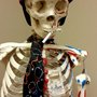 Photo of Lauron Mark P MD