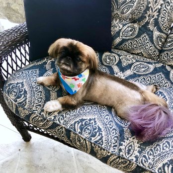 Fancy Paws Pet Styling - Pet Groomers Near Me - Port St. Lucie, Florida