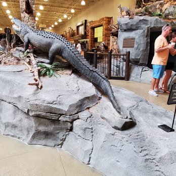 Cabela’s - Guns & Ammo Near Me - Garner, North Carolina