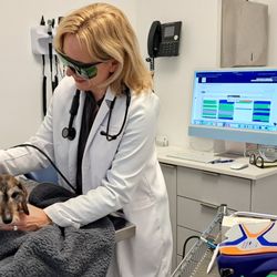Brilliant Veterinary Care