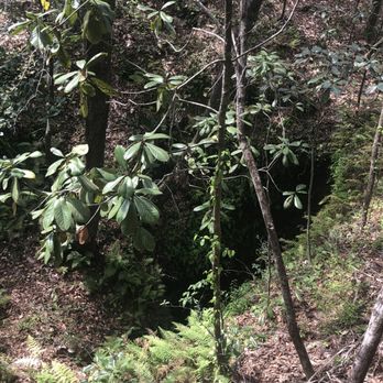 Falling Waters State Park - Sink hole - Parks Near Me - Chipley, Florida Falling Waters State Park - Sink hole - Parks Near Me - Chipley, Florida