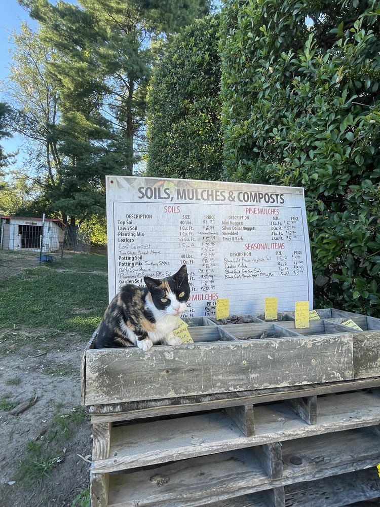 SOUTHERN STATESTURF CENTER Updated October 2024 10 Reviews 1409