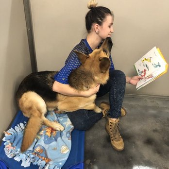 Paws 'n' Rec - Boarding...and the inexpensive extra of a nighttime "book and a belly rub." - Pet Training Near Me - Las Vegas, Nevada