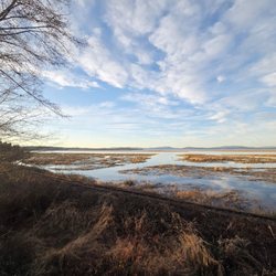 Twilight Eagle Sanctuary