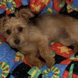 Bella Bella