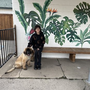 GreenHouse Restaurant & Bar - Loved the mural in the parking lot - New American Near Me - Denton, Texas GreenHouse Restaurant & Bar - Loved the mural in the parking lot - New American Near Me - Denton, Texas