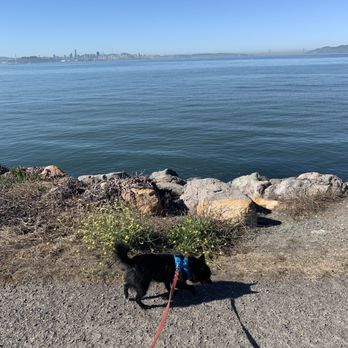 Cesar Chavez Park - Parks Near Me - Berkeley, California Cesar Chavez Park - Parks Near Me - Berkeley, California