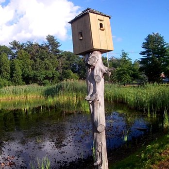 Hidden Pond - Parks Near Me - Hingham, Massachusetts Hidden Pond - Parks Near Me - Hingham, Massachusetts