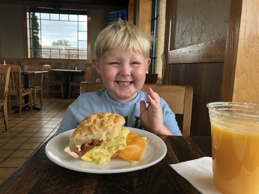 Maverick Biscuit by null