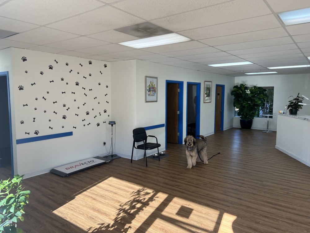 MY PET’S VETERINARY URGENT CARE AND WELLNESS 11 Photos & 14 Reviews