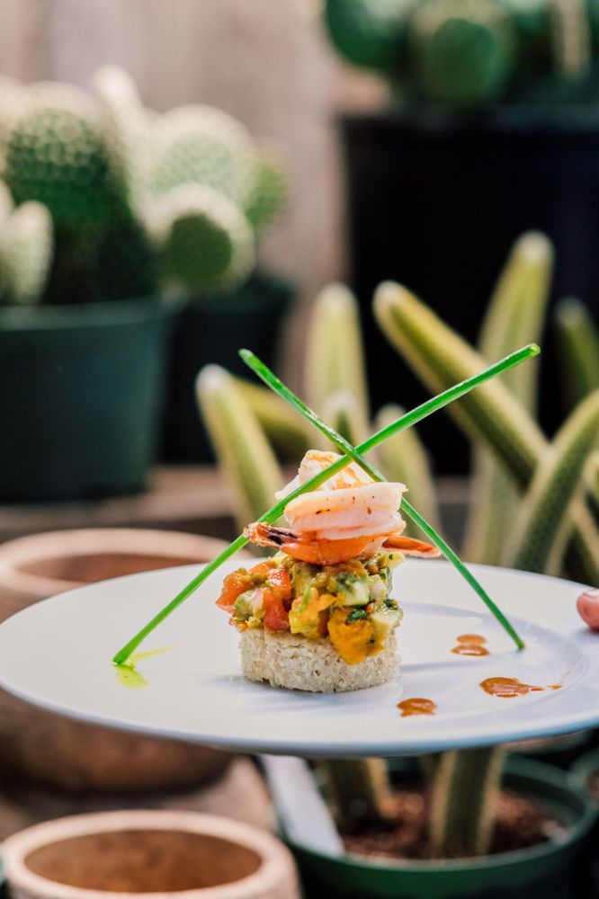 Purple Flamingo Cafe