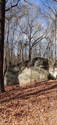 Big Rock Nature Preserve by null