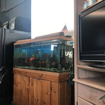 S&K Automotive - Fish tank! Goldfish :) - Auto Repair Near Me - Tucker, Georgia S&K Automotive - Fish tank! Goldfish :) - Auto Repair Near Me - Tucker, Georgia