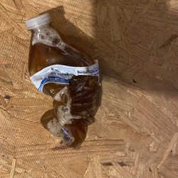 The Insulation Guru - Bottles of urine left all around the attic